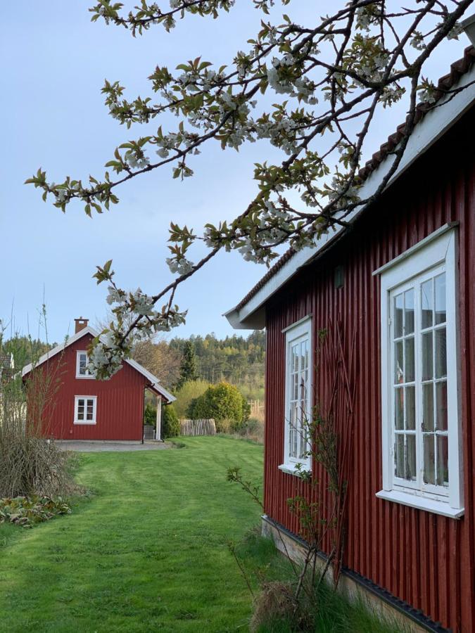 Morellgarden Larvik Exterior foto