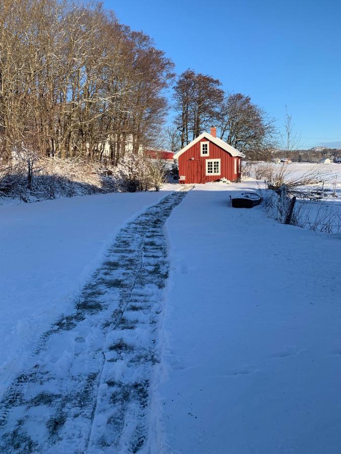 Morellgarden Larvik Exterior foto